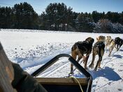 Dashing through the snow.