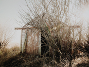 Farmer Left His Overalls Outside Again