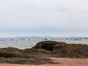 Waiting for the tide