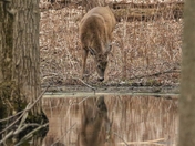 a stressful week,, time to relax 