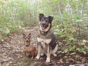 Max and Mingo enjoying the Outdoors