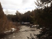 enjoying a walk in the Bush  