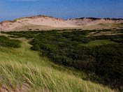 The Dunes At Greenwich