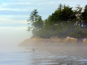 The Great Bear Rainforest