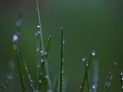 After the rain has gone