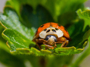 Are you looking at Me!!!