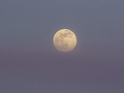 Last Super Moon of 2020, The Flower Moon