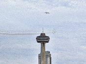 RCAF Snowbirds Operation Inspiration