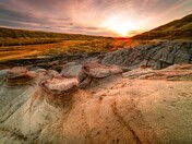 Where Prehistoric Giants Roamed