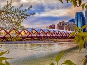 Peace Bridge Through Greenery