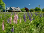 The Estate of William Cornelius van Horne