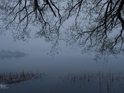 Fog at Dawn, Chimney Island, Thousand Islands, St. Lawrence River