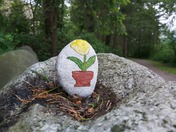 Enjoy nature during COVID-19 crisis