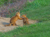 We’ll get through this together 