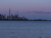 Toronto sunset with birds