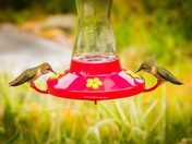 Drinking from both Sides of the Glass