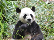 A long way from home