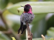 View from the tree top!