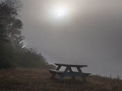 You all sit down now 