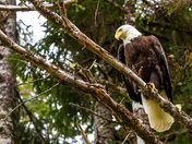 Looking for a Way Out