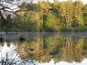 Quiet Lake Early Morning