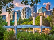 Downtown Calgary Framed By Foliage