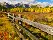 Autumn Fence