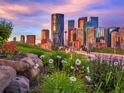 Flowers By Downtown Calgary