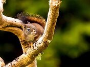 Blanketed with Warmth