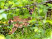 Many Parts Make a Hole