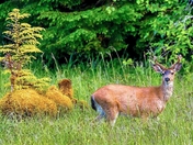 Looking You in the Eye