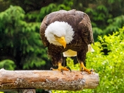 Don't Test My Patience