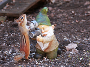 Photographer's Helper