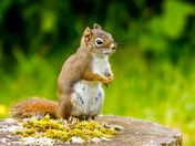 On the Pitcher's Mound