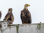 All Messed Up Nowhere To Go