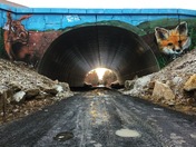 The Bluff Wilderness Hiking Trail