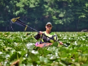 Kayaking in lily pads.