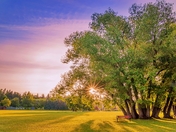 Sunshine Summer Park