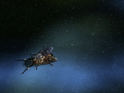 Horse Fly in Space