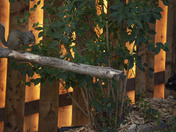 Meeting of the Minds