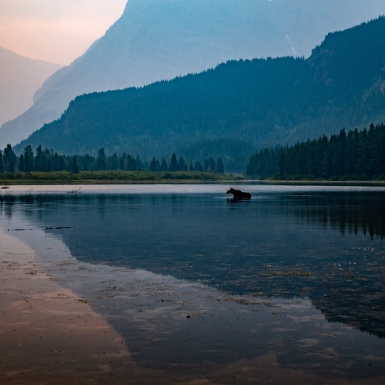 Glacier National Park