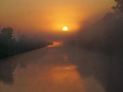 Out of the fog 