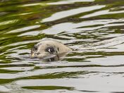 Haven't We Met Before