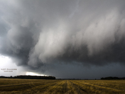Ontario Summer Storm