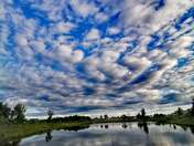 Puffy clouds morning