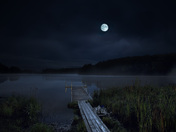 A Moon Lit Pond