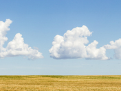 Prairie Panorama