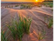 Covehead beach morning
