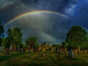 Mornings gift of life