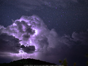 Night Show